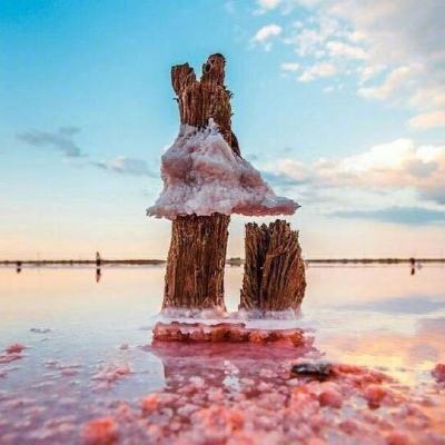 BO半岛综合app安全下载