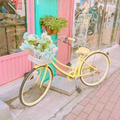 澳门新莆京游戏大厅手机app下载