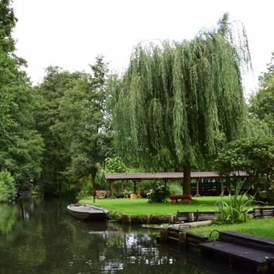 bb平台体育app官网