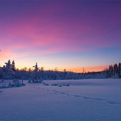 电子游戏bbin官方