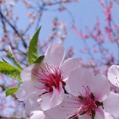 太阳集团电子游戏截图