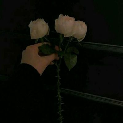 太阳集团电子游戏截图